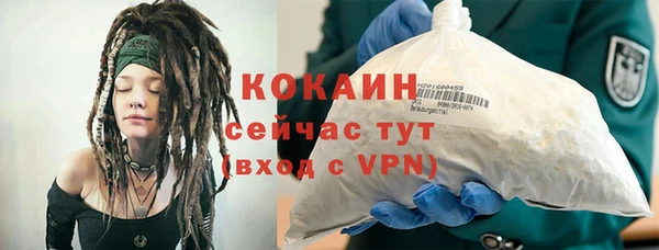 ПСИЛОЦИБИНОВЫЕ ГРИБЫ Михайлов