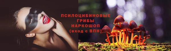 ПСИЛОЦИБИНОВЫЕ ГРИБЫ Михайлов