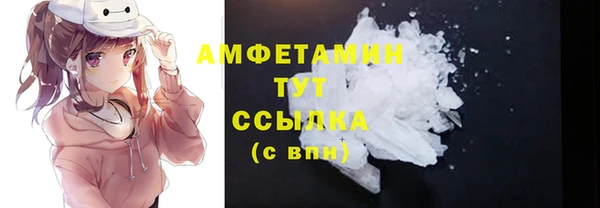 ПСИЛОЦИБИНОВЫЕ ГРИБЫ Михайлов