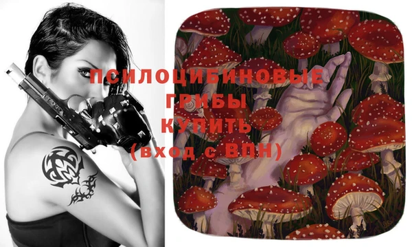 кокс Михайловск