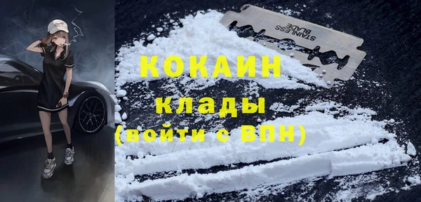 ПСИЛОЦИБИНОВЫЕ ГРИБЫ Михайлов