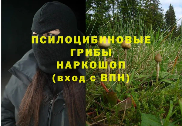 прущий лед Михайловка