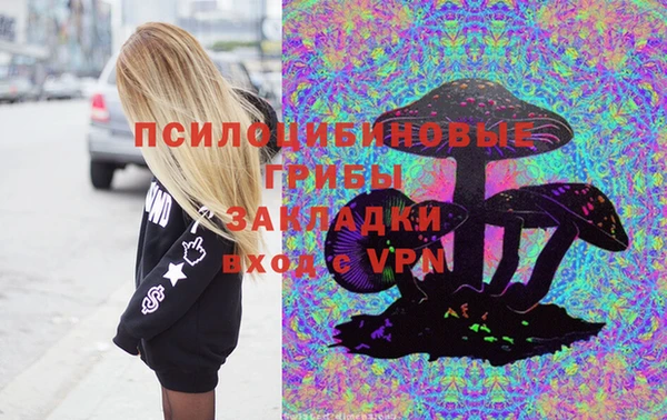 шишки Мегион