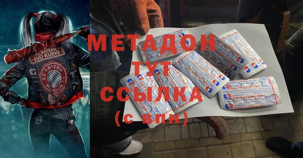 ПСИЛОЦИБИНОВЫЕ ГРИБЫ Михайлов
