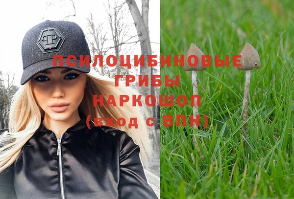 прущий лед Михайловка