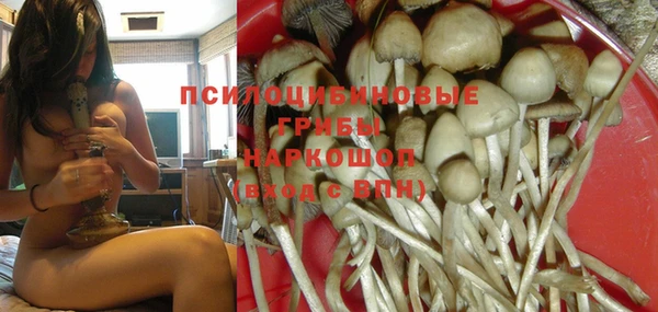 кокс Михайловск