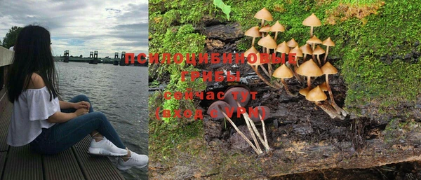 ПСИЛОЦИБИНОВЫЕ ГРИБЫ Михайлов