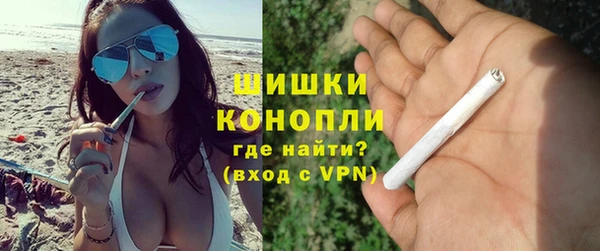 ПСИЛОЦИБИНОВЫЕ ГРИБЫ Михайлов