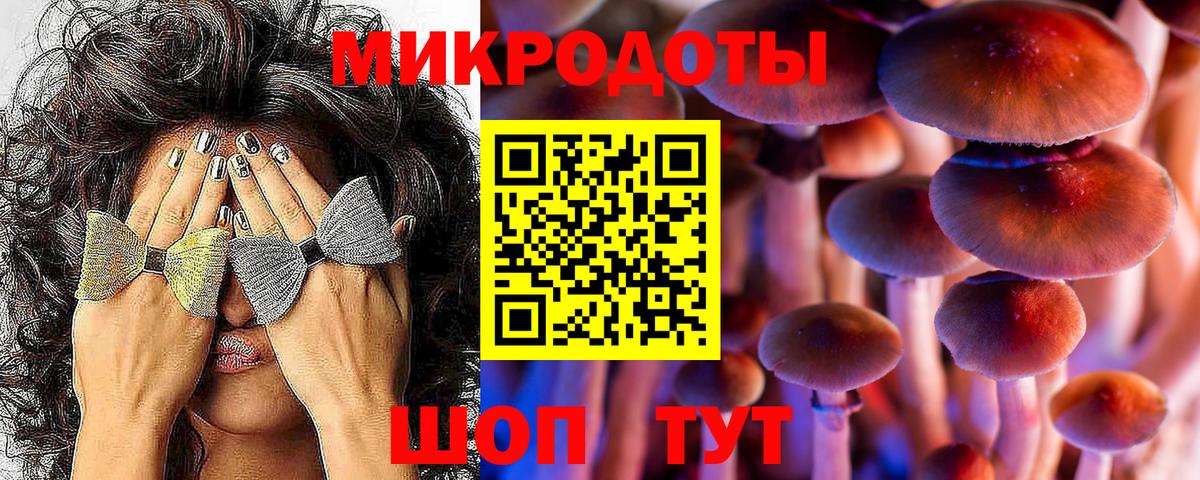 Долгопрудный  Псилоцибиновые грибы Psilocybe  Вход с VPN 