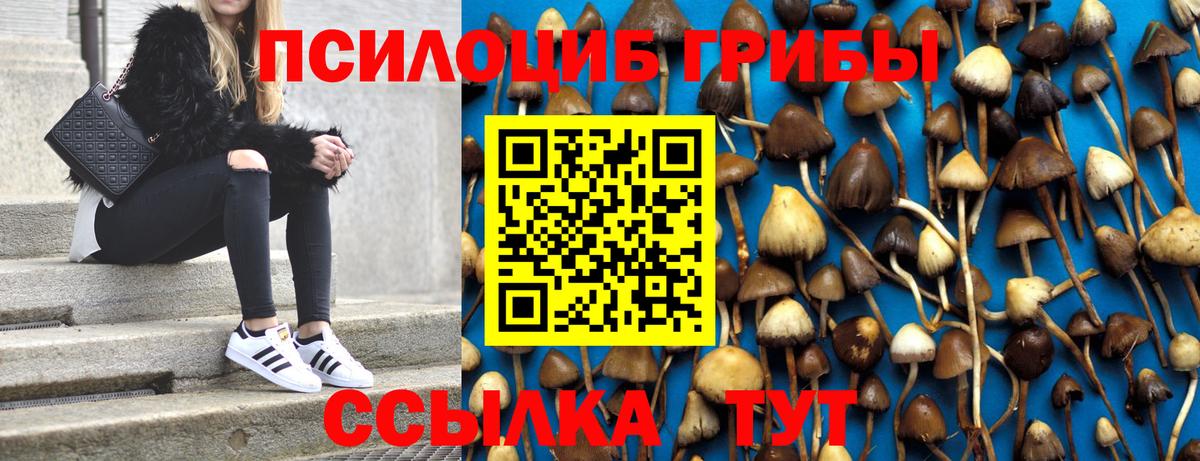 Галлюциногенные грибы GOLDEN TEACHER  Псилоцибиновые грибы прущие грибы  Долгопрудный 